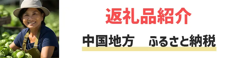 中国地方　ふるさと納税